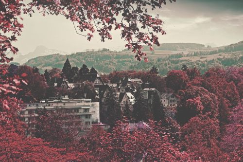 Visit our website for lots of free, high quality photos: bit.ly/1s4vdVo