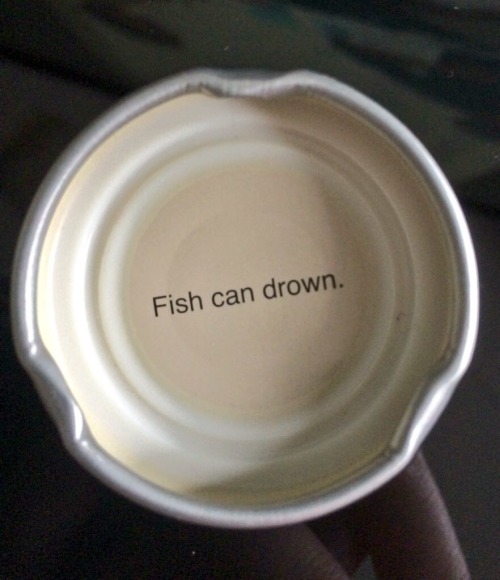 Another fun fact from Snapple.