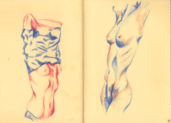 elena-ote:  Body Types, Blue & Red Pencil