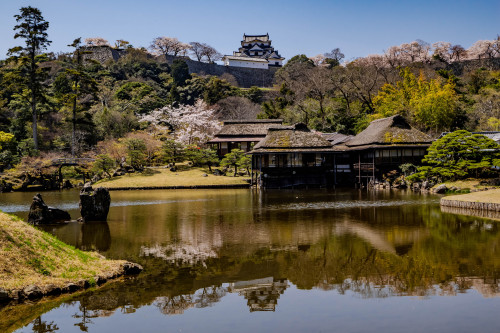 春の陣