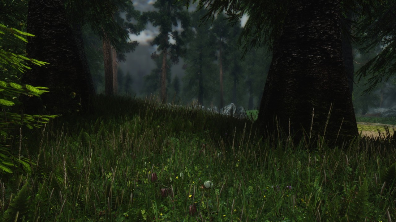   Millepon Diamond ENB v1.3 by Millepon様