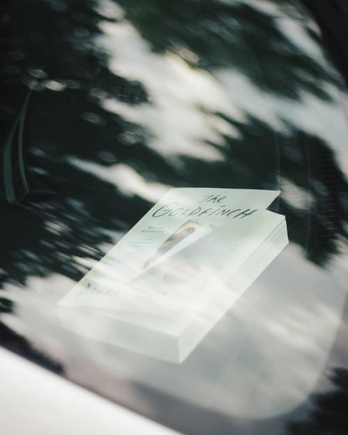 insidethebookreader:This picture was inspired by me, forgetting my current read in the car