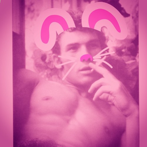 Vintage Beefcake Bunny 