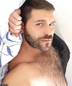 Hairy muscle men & hot male hunks