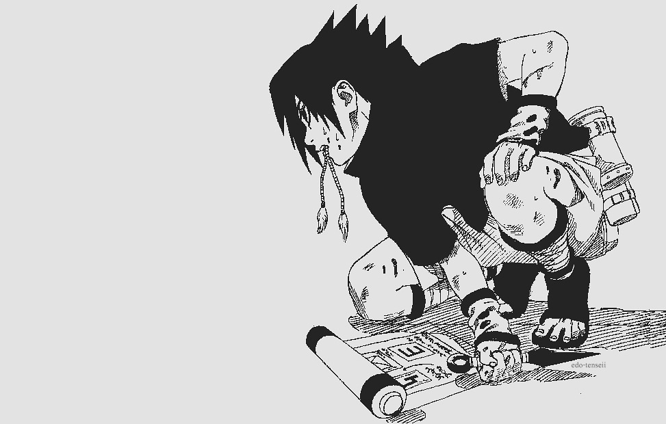 The Naruto Fandom.