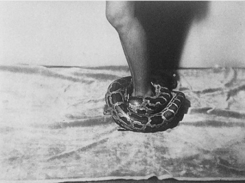 headless-horse:The Snake Charmer, 1930