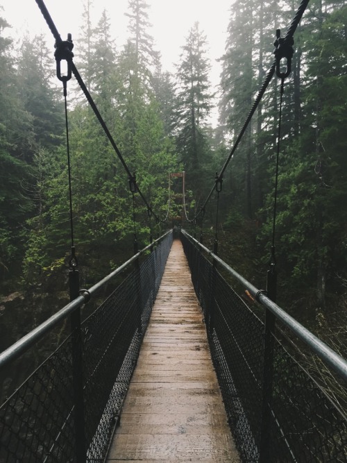 sarahclausing:Today in Siuslaw National Forest adult photos