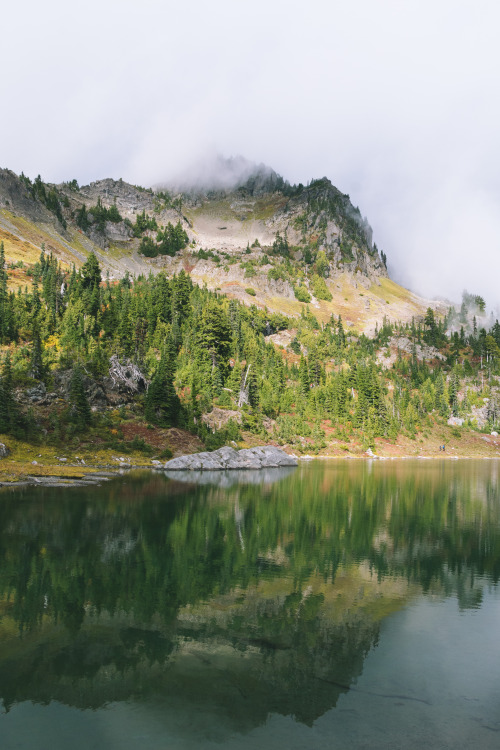 millivedder:Olympic National Park