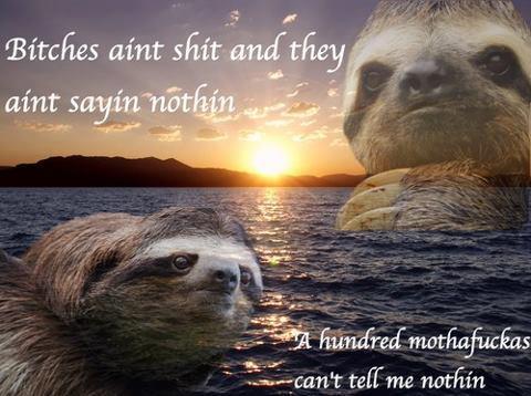 #sloth #nickiminaj #beezinthetrap #majestic