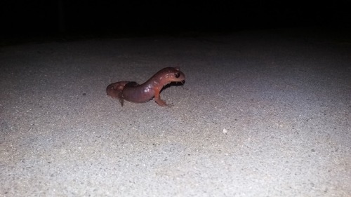 look at this sweet boy he came to see me