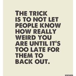 Sometimes I&rsquo;ll warn you, sometimes I&rsquo;ll surprise you 😜😏🤔🙃😎🤓 #nobackingoutnow #weirdisgood