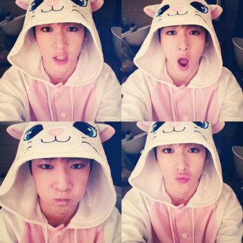 kissmeshabi:Kevin Kitthy!!! meow~ asdasdasda &lt;3