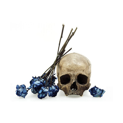 edgarskeleton:  71/365(2)
