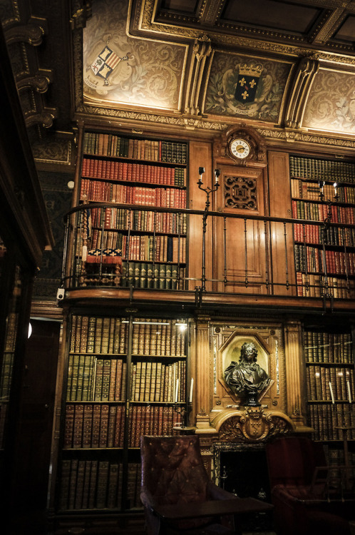 marlessa: Magnificent book cabinet in the Château de Chantilly 