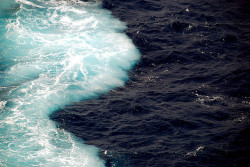 nitrogen:  Avalanche at Sea by Rajeev Patel  