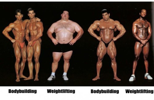 emt-monster:  Different body types for different sports.Source: Ebaums World
