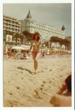 Johnnythehorse:  Cannes