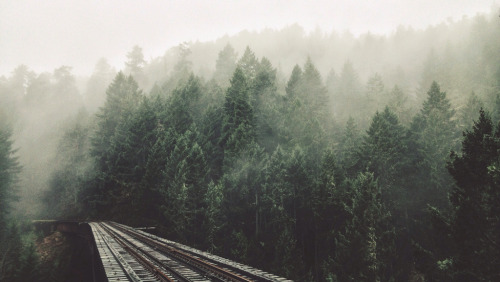 englishsnow:   Tyler Forest-Hauser 