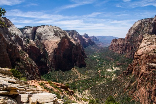 wongikim:  At the peak of Angels Landing in Zion National Park