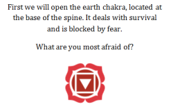 There are seven chakras that go up the body. Each pool of energy has a purpose, and can be blocked by a specific kind of emotional muck. ~Guru Pathik