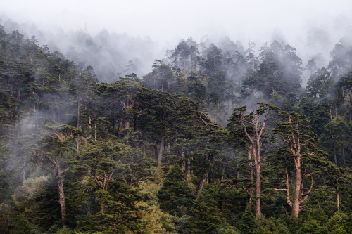 Nenggao Cross-Ridge Trail by JimiHo