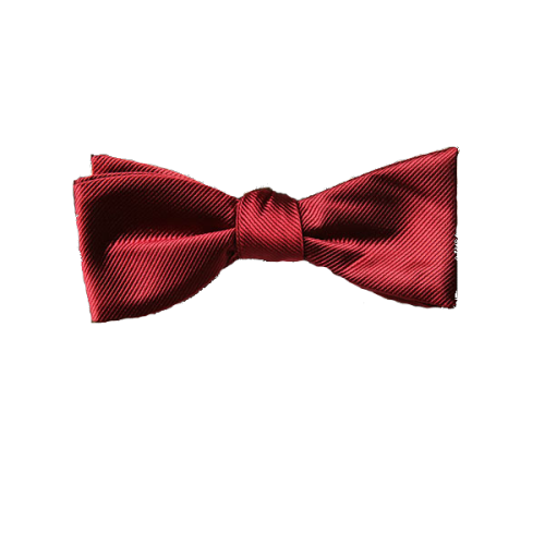 tardis-and-impala-at-221b:alittlehemosexuallamb:your blog is now wearing a bowtiebowties are cool