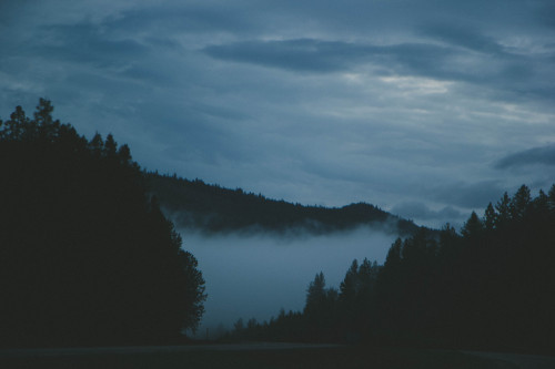 mbacani:  The road to Yellowstone.Somewhere in Montana.May 2015.