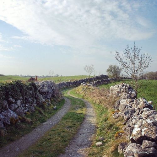 irisharchaeology: A road less travelled…… an old bóithrín (little road) 