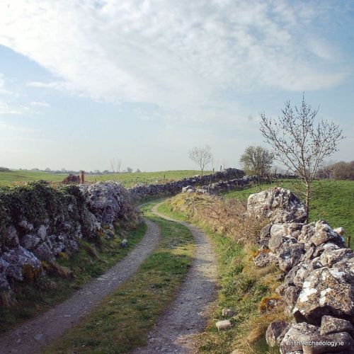 A road less travelled&hellip;&hellip; an old bóithrín (little road) in Co Roscommon, Ireland