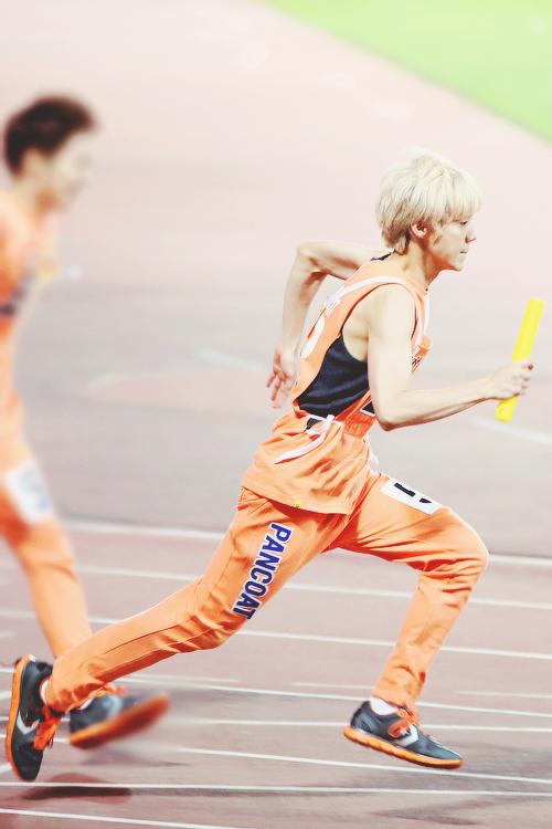 porkdo-bi:  (c)   