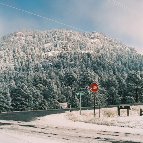 We passed these pale rolling hills en route to Boulder and pulled over upon realizing the trees were