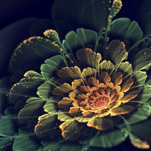 ruineshumaines: Fractal Flowers by Silvia Cordedda.