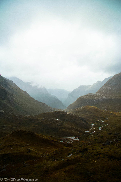 Harris SaddleRouteburn Great Walk, New Zealand