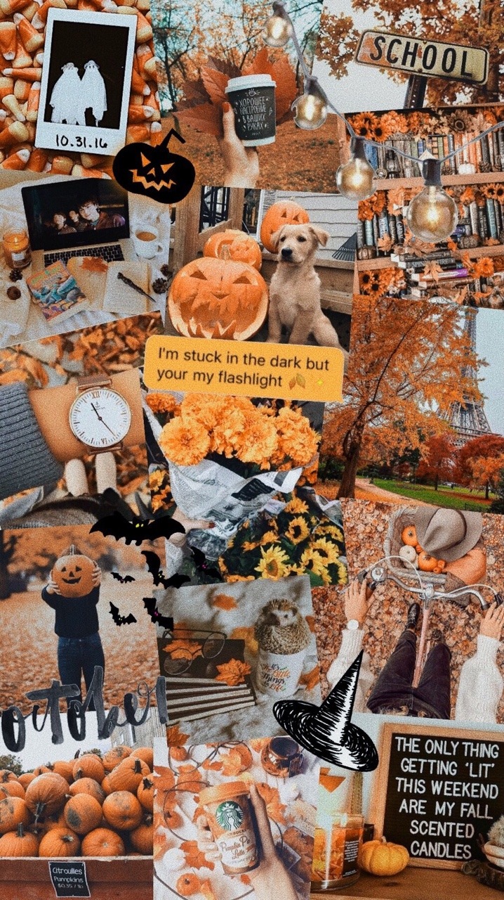 20 Autumn Collage Wallpapers  Autumn in the city 1  Fab Mood  Wedding  Colours Wedding Themes Wedding colour palettes