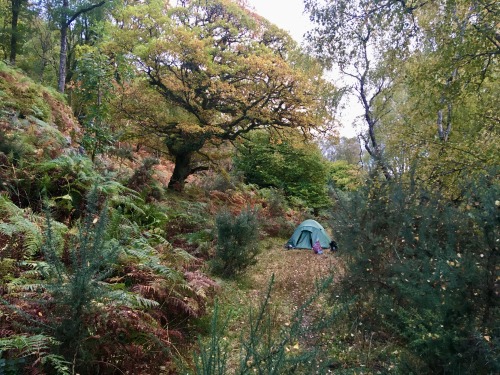 General Wade’s Military Road, Scottish Highlands