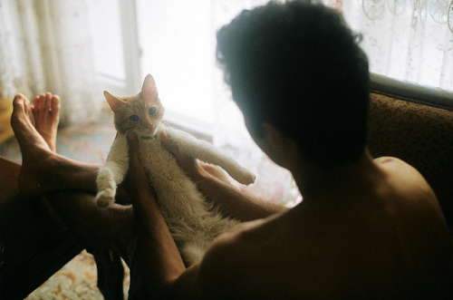 satansbaby  :  teşhirci pisi   by rosenoid   on Flickr.