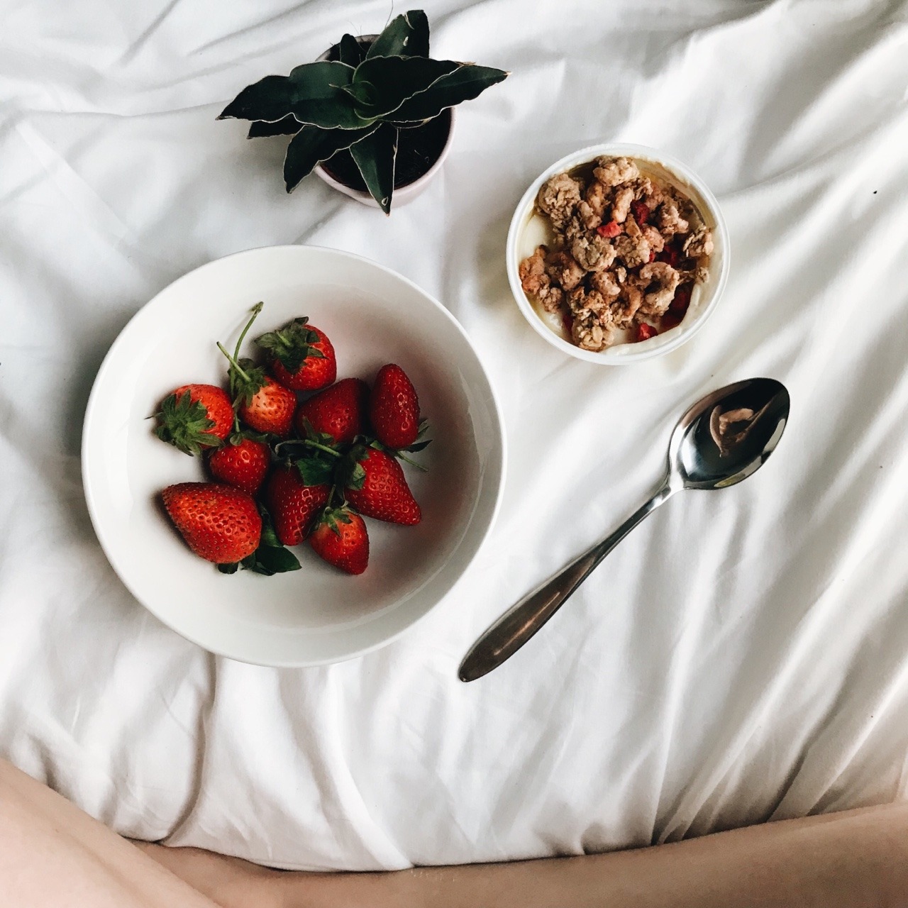Tumblr breakfast in bed House 5863