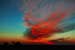 blazepress:  Sunset in Mauritania.