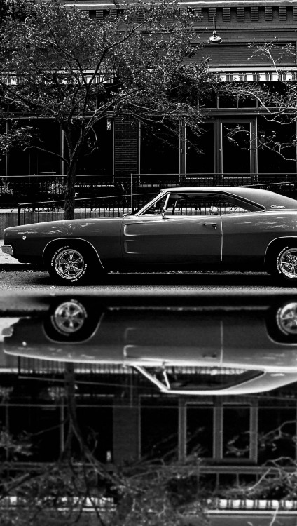 Hot Cars