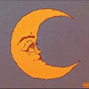 moonlit-ivy avatar