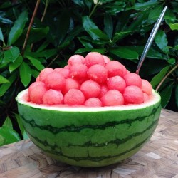 eat-to-thrive:  Sweet &amp; juicy watermelon for breakfast. It’s been over a month since I’ve seen organic watermelons at any of the grocery stores I frequent, so I was pretty excited to discover some back in stock recently! 