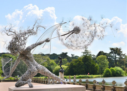 chemysteriously: kaneki-kenkin: mymodernmet: UK-based artist Robin Wight uses stainless steel wire t