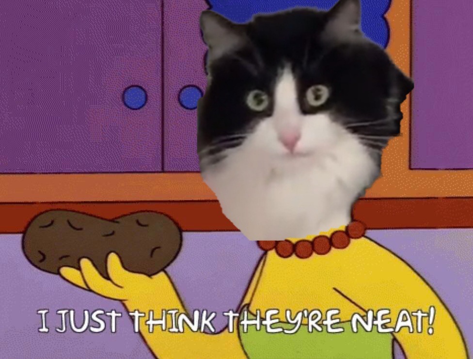 aerix-spades:prguitarman:thenatsdorf:Cat likes potatoes. (via) The comedic timing