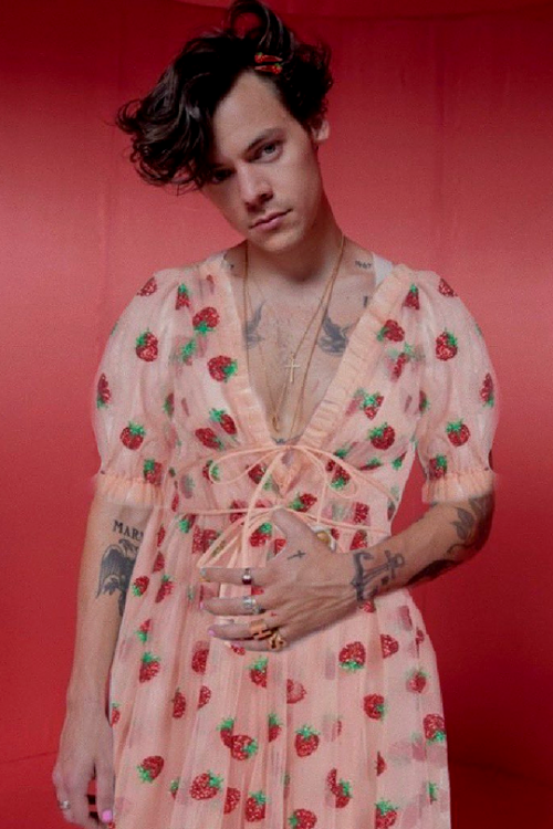 HARRY STYLES × Lirika Matoshi Strawberry Midi Dress