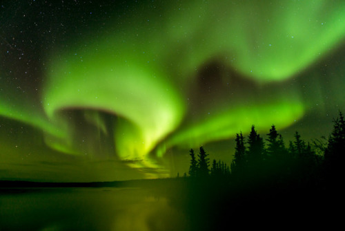 Northern Lights ~ Great Bear Lake by Dan Anthon