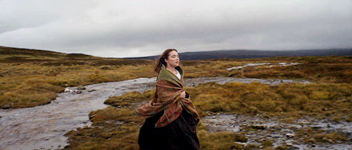 alejandroginarritu:Lady Macbeth (2016) dir. William Oldroyd