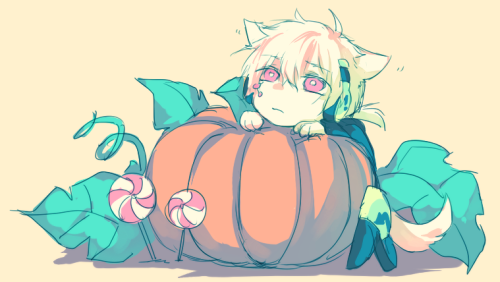 emmikin:pumpkins