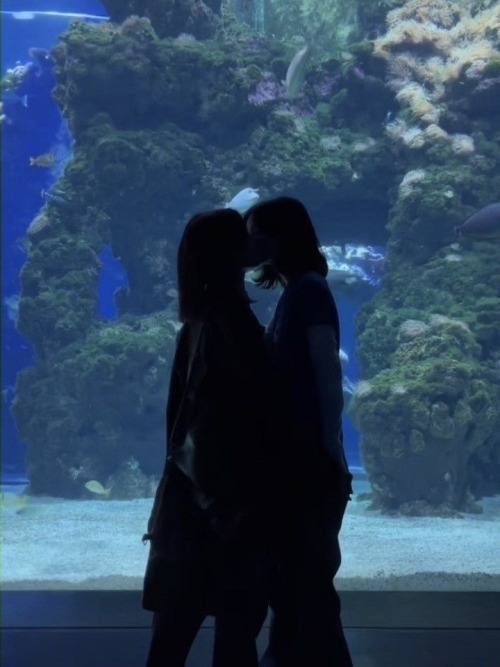 。·˚˚· Aquarium Date ·˚˚·。