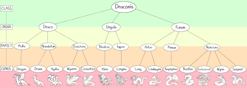Classification of Dragons My personal take for fun! A fantasy phylogenetic tree! Please forgive me f