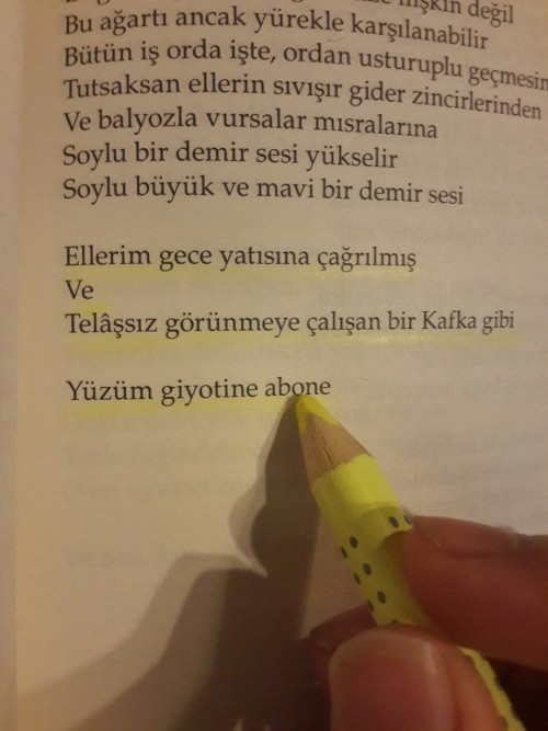 gregor8samsa:  Yüzüm giyotine abone… 
